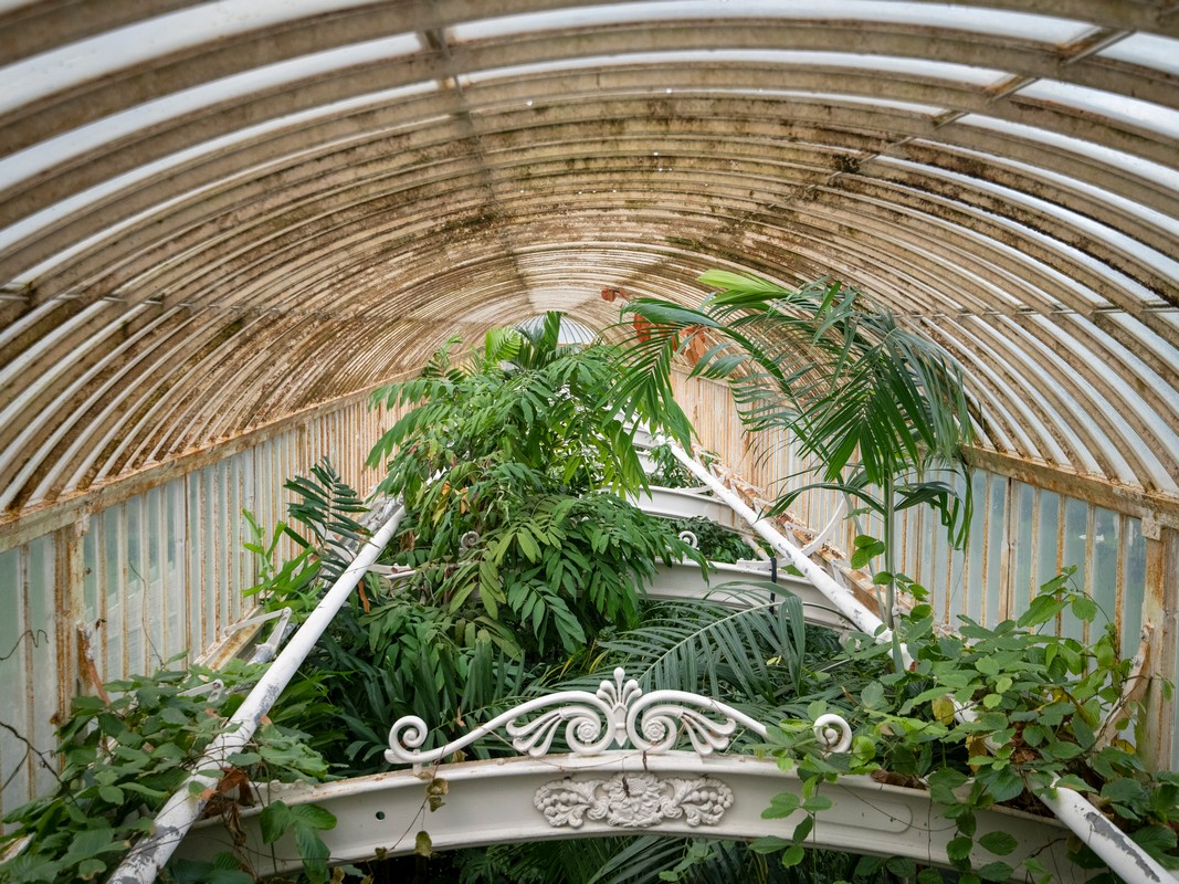 12-palm-house-interior-rust---credit---jeff-eden-C-rbg-kew