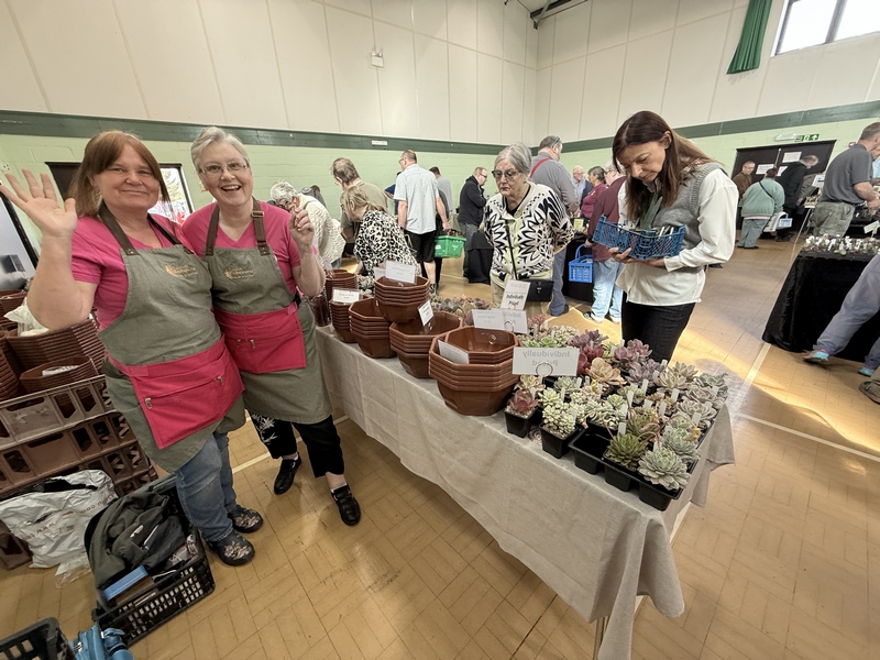 img_5891-spalding-plant-mart-