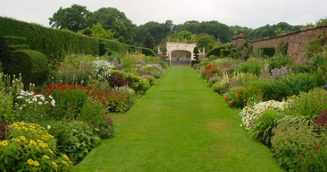 Encouraging Birds Into Your Garden 