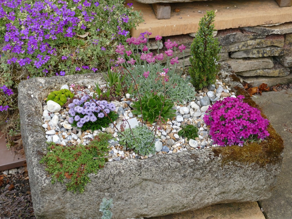 Alpine Hypertufa Troughs 