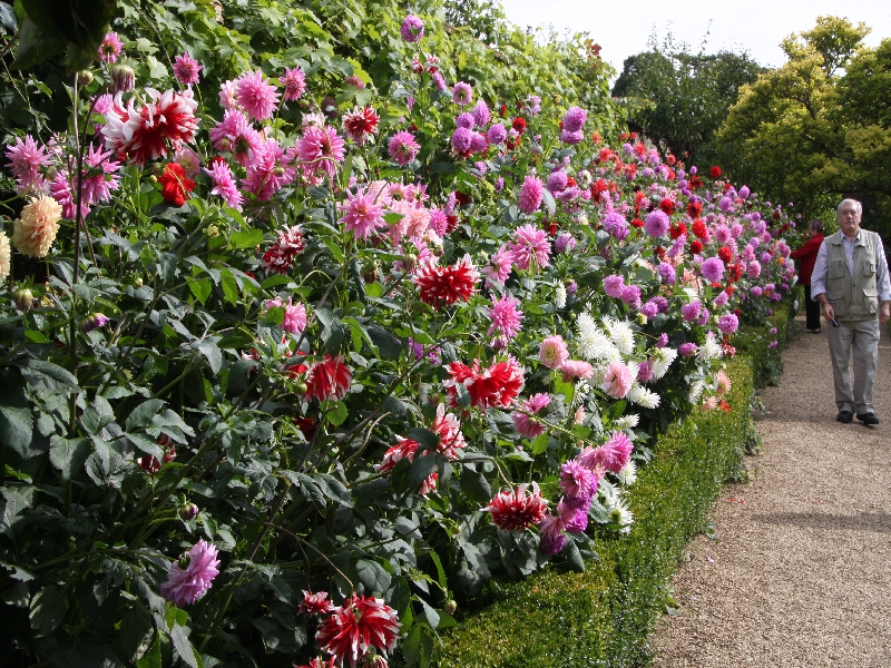 IMG 4545 AGC Oxfordshire Rousham House 3