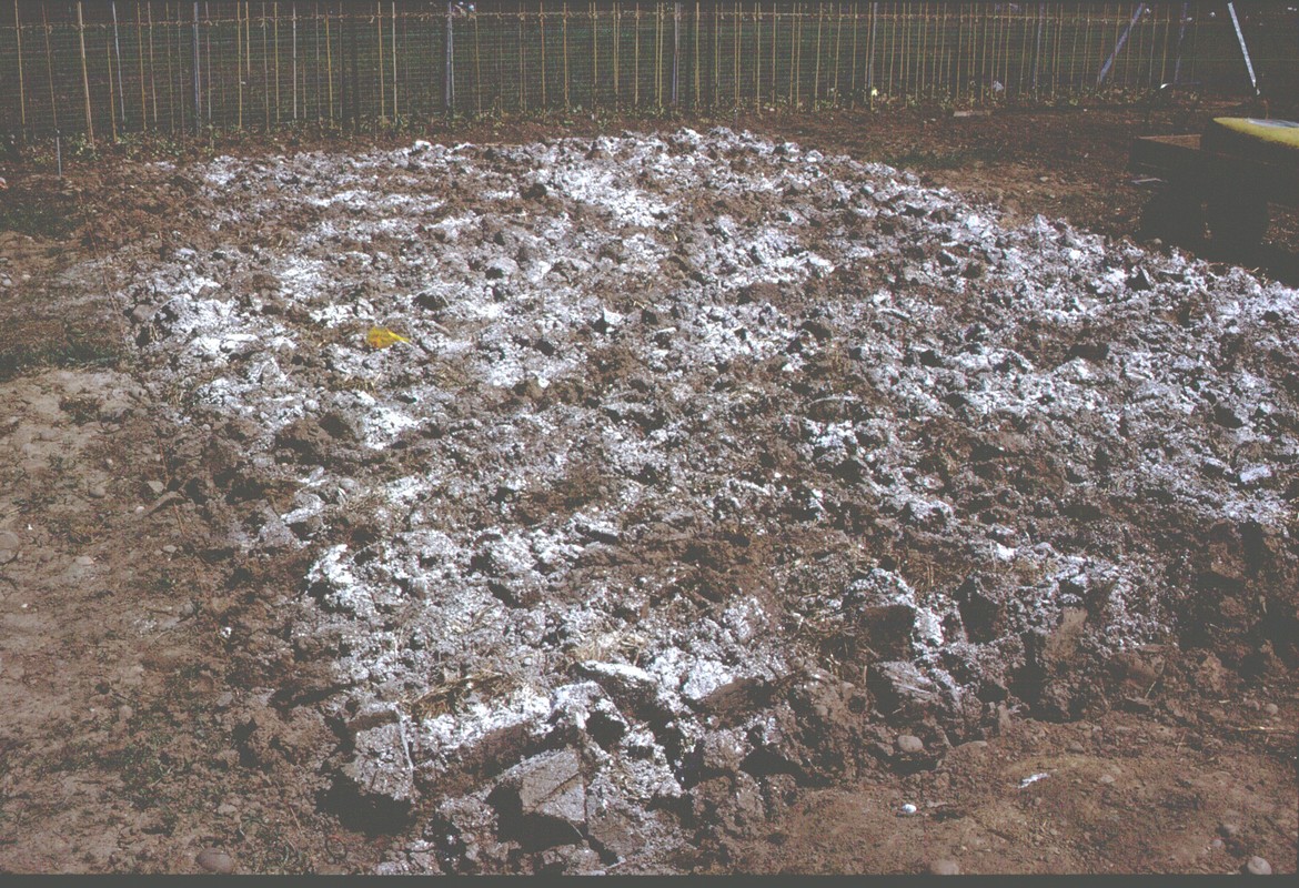 Living With And Making The Most of Clay Soils