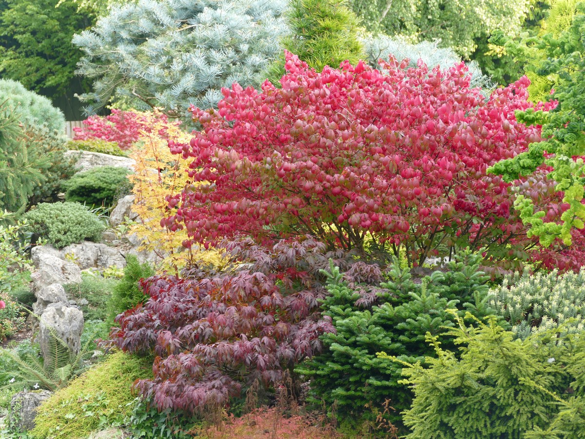 John Massey's Garden in early November