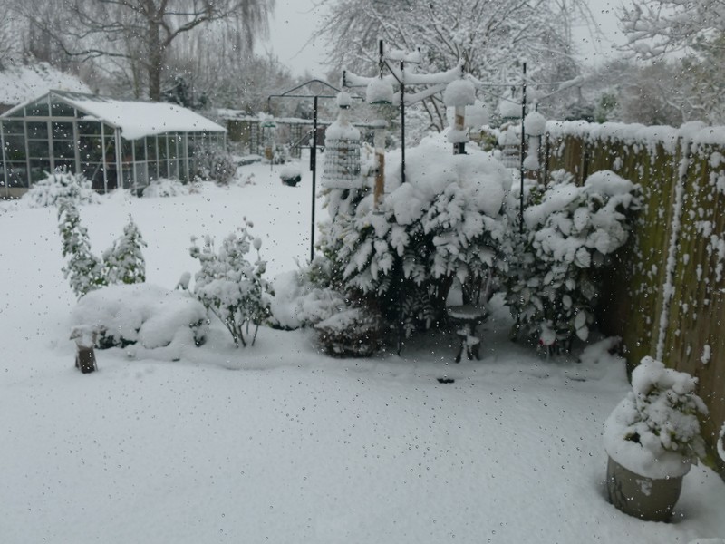 Gardening News, Advice, Tips and Jobs For December 2024