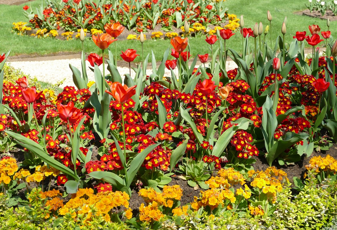 Advice, Tips and Jobs for April 2026