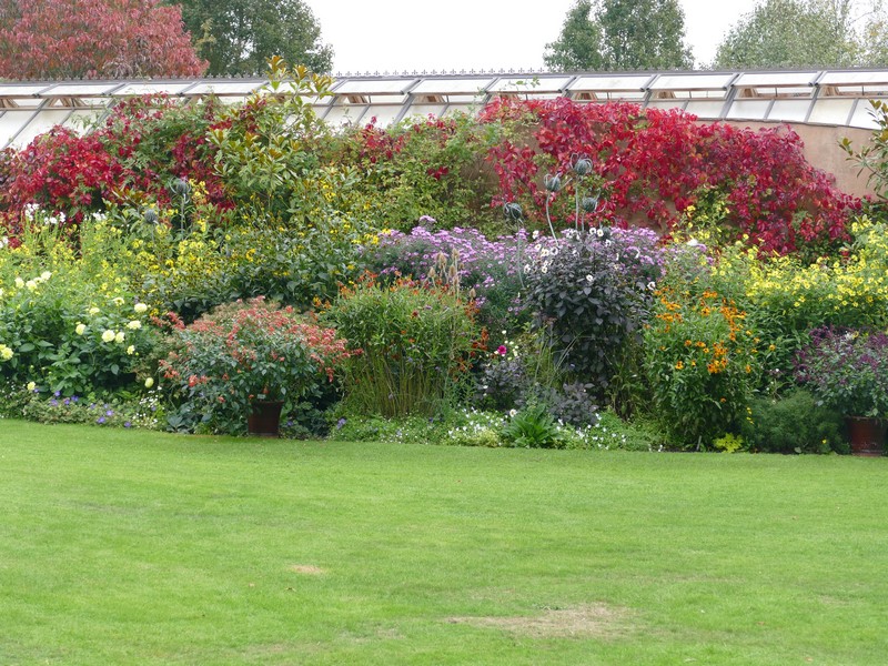 Gardening News, Advice, Tips and Jobs For October 2025