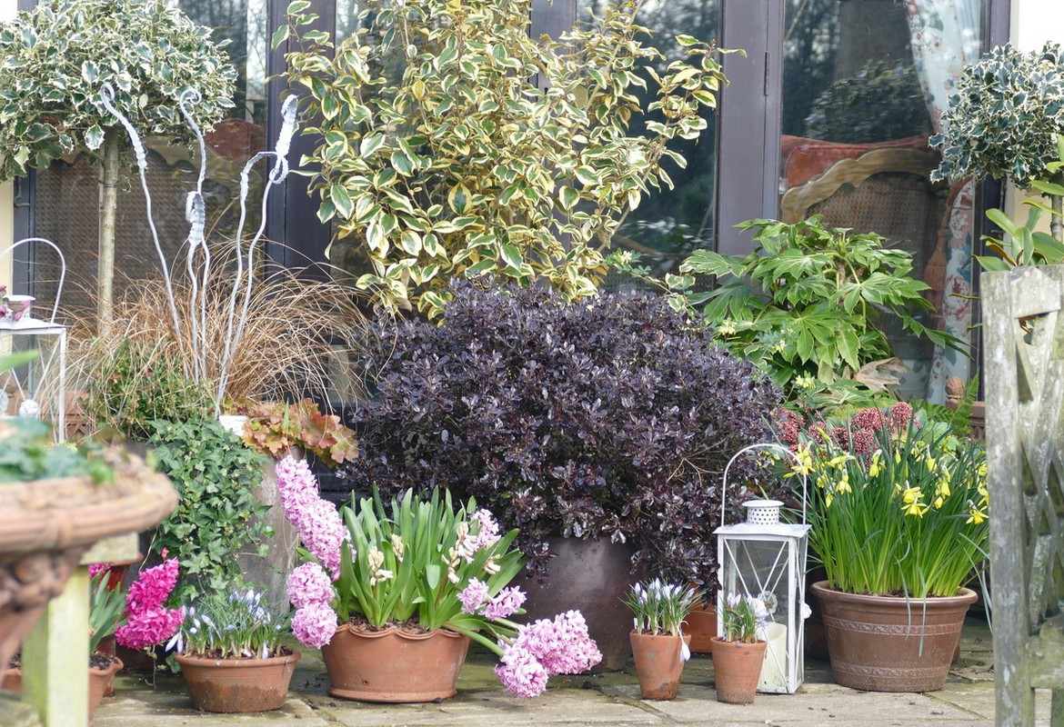 Gardening News, Advice Tips and Jobs for March 2026