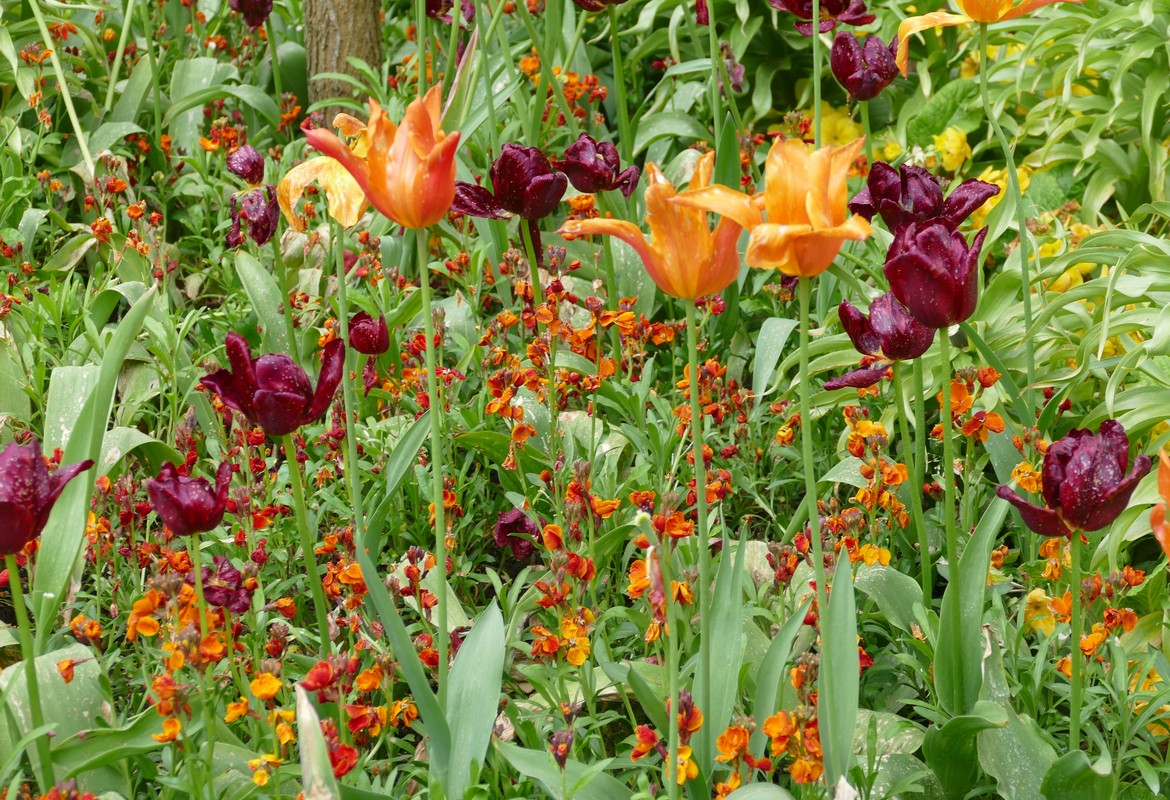 Advice, Tips and Jobs for April 2026