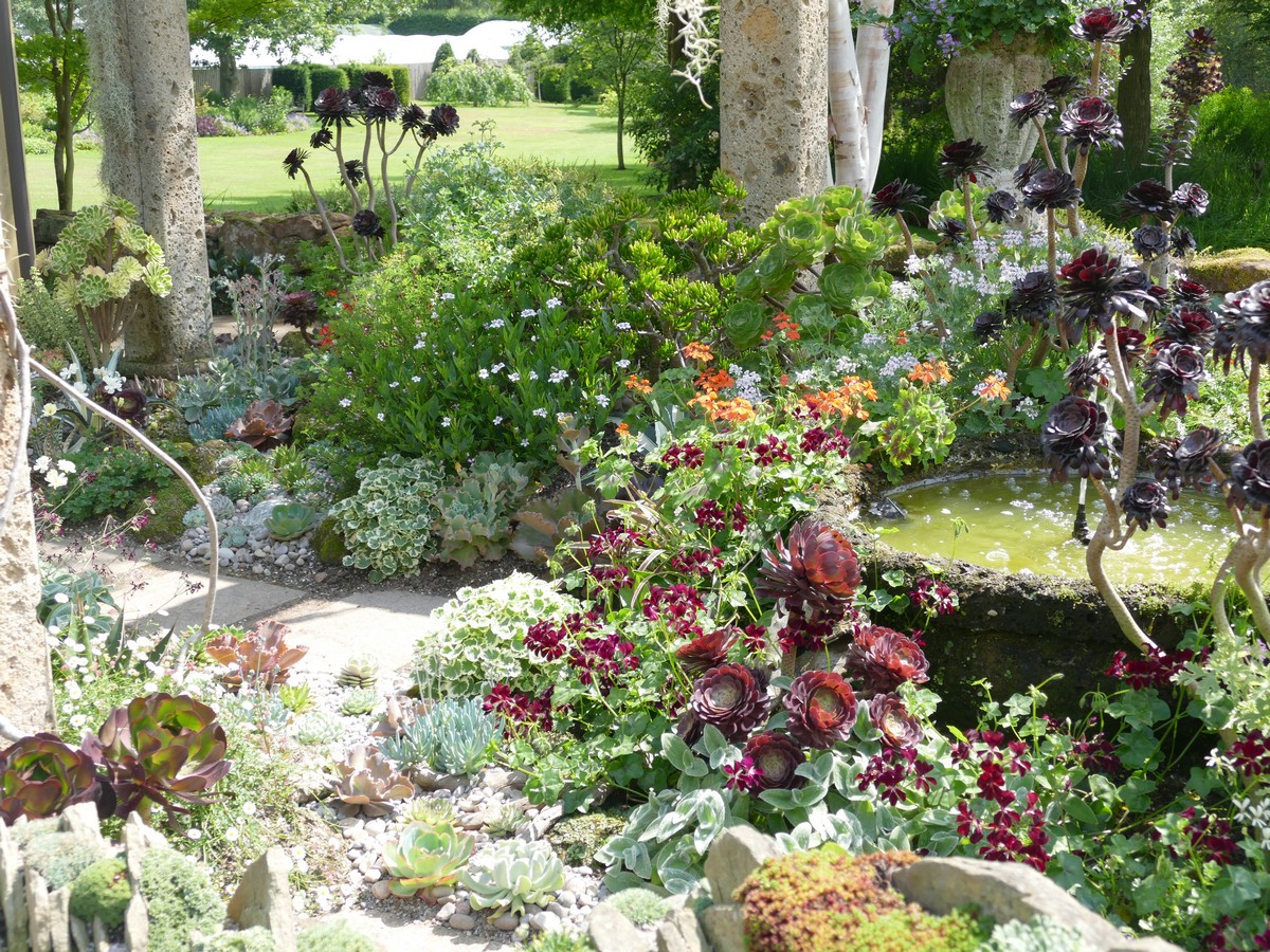 Gardening News, Advice, Tips and Jobs For July 2025