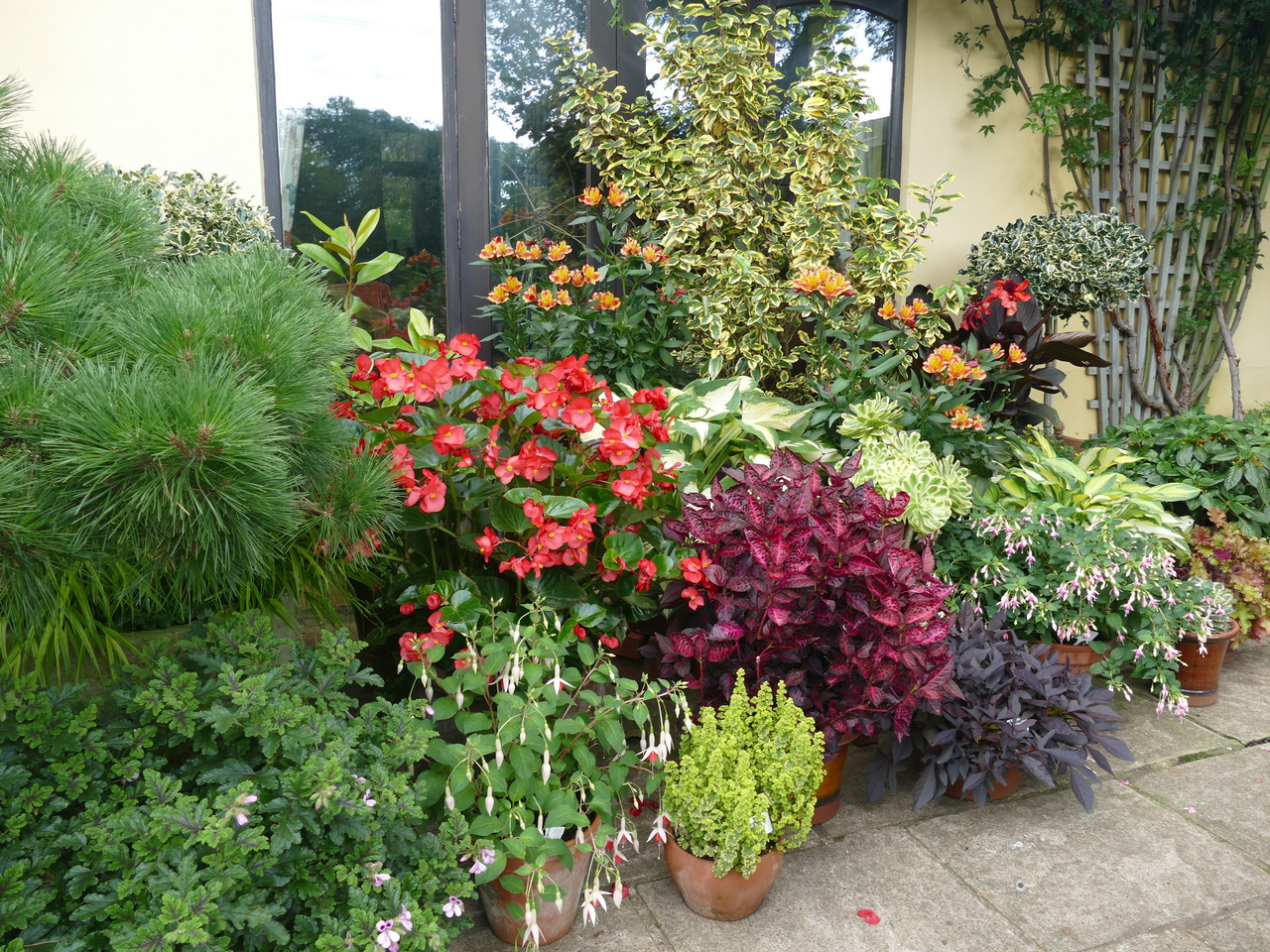 p1450589 john masseys gdn ashwood 