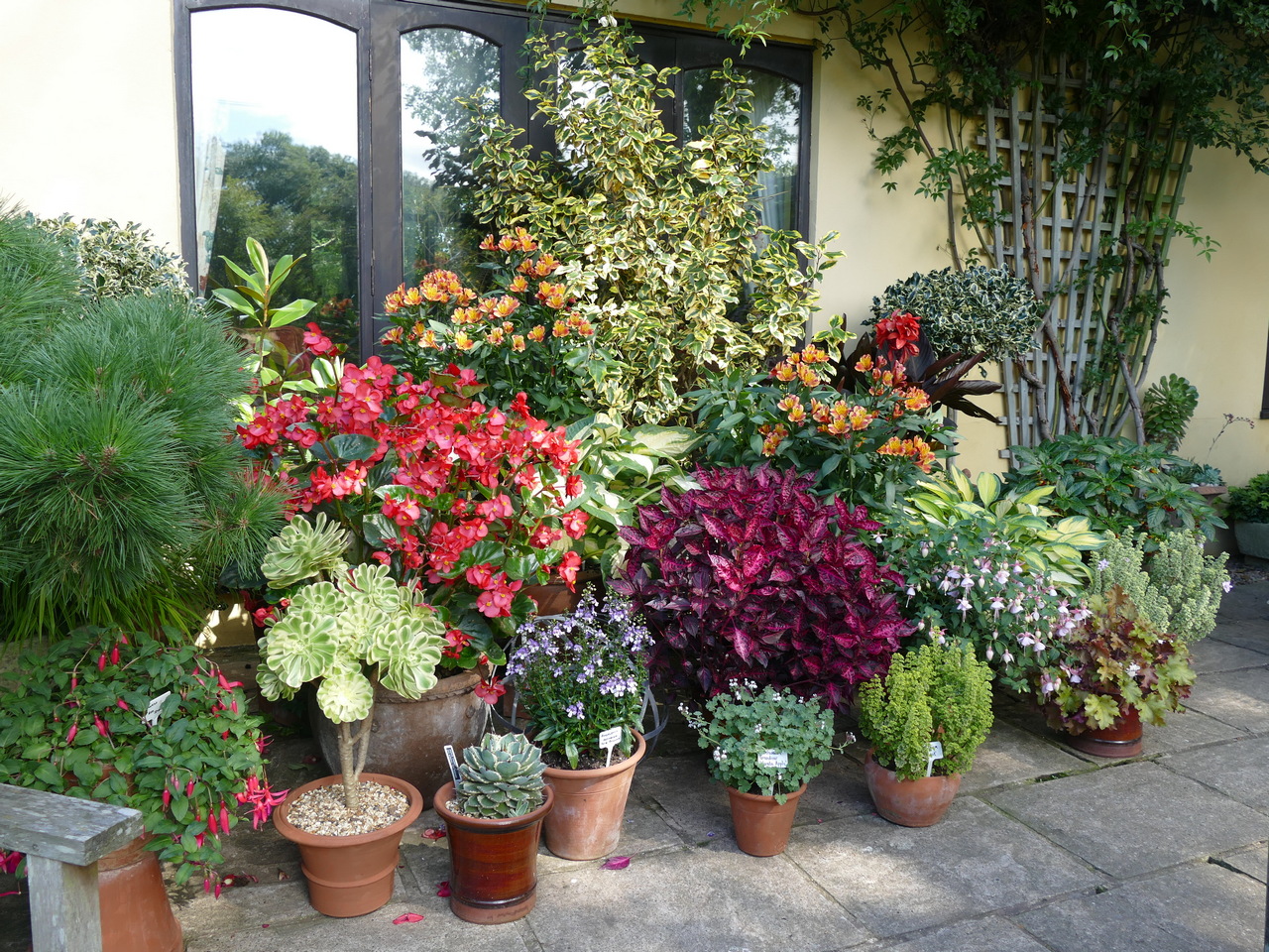 Calls for plants to be labelled according to water requirements