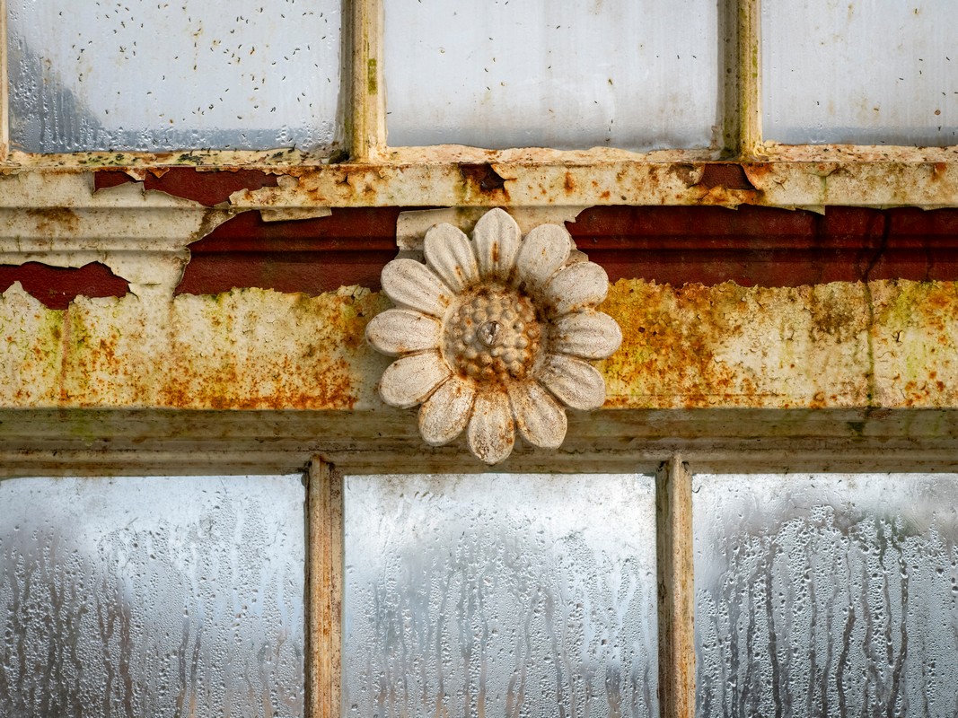 09.-palm-house-interior-rust---credit---jeff-eden-C-rbg-kew