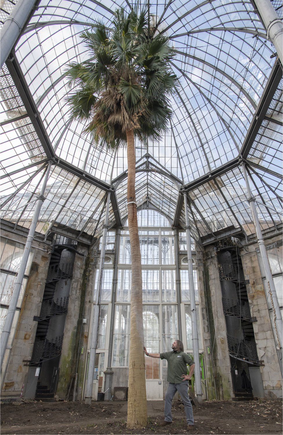 200 palm house with stairs