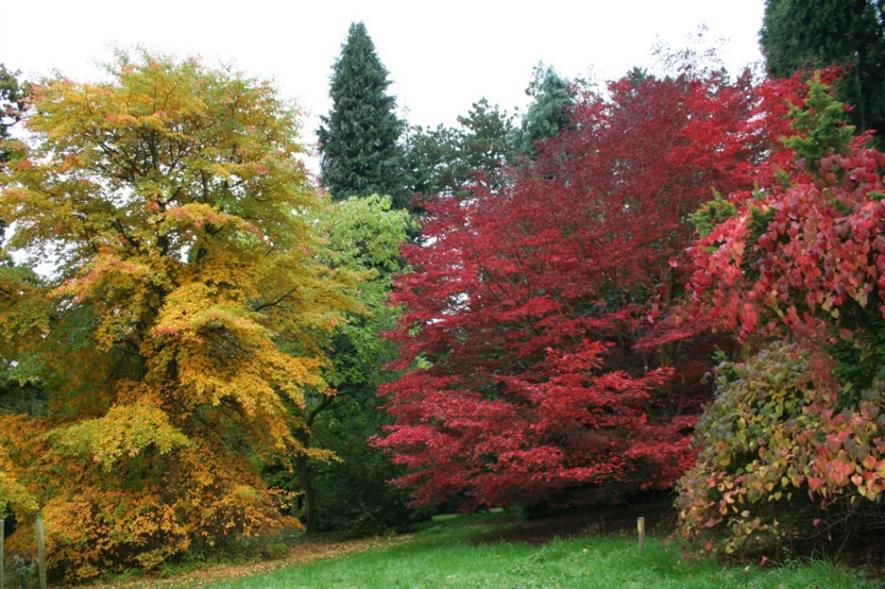 Batsford AutumnColour 