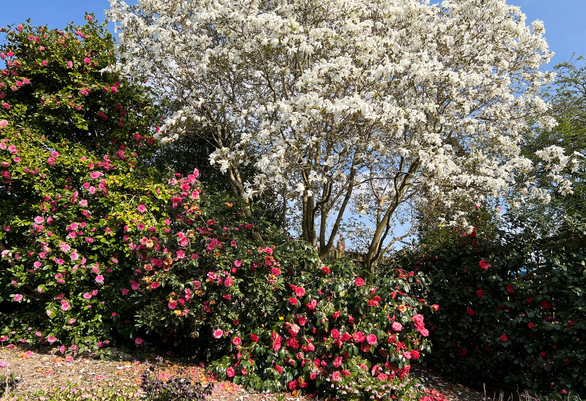 The Delights and Woes of Early April