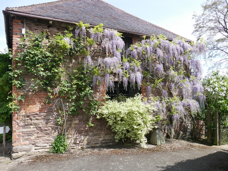 Gardening News, Advice, Tips and Jobs For May 2025