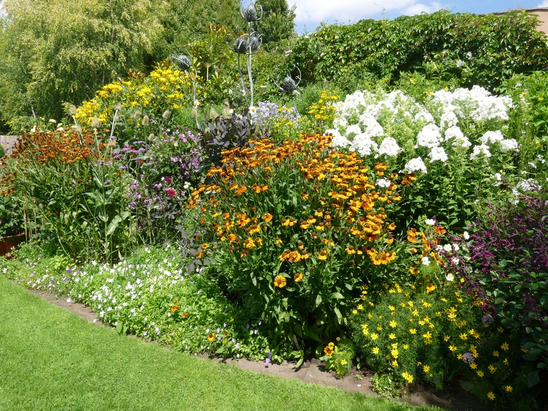 Gardening News, Advice, Tips and Jobs For August 2025