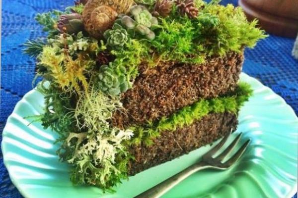A slice of cake