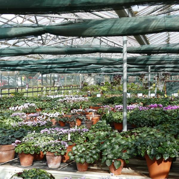 Alpine production greenhouse