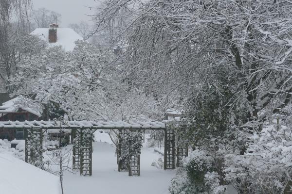 Garden in winter snow