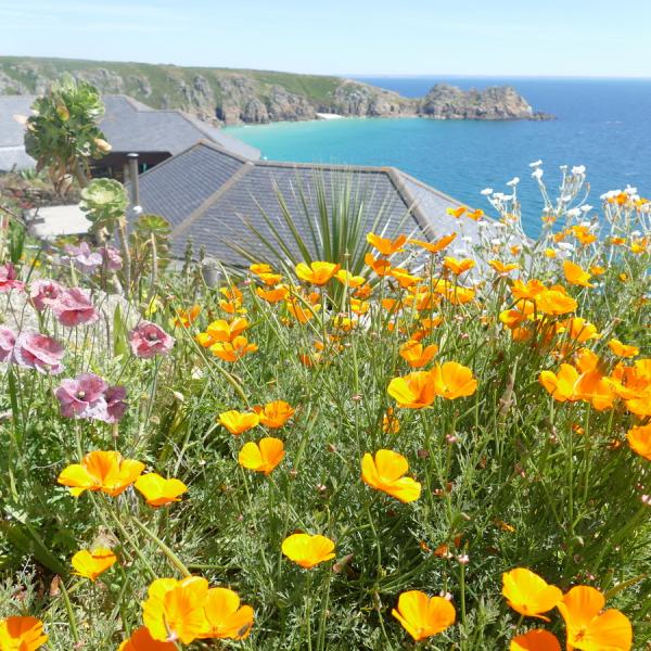 Minack theatre to Logan Rock