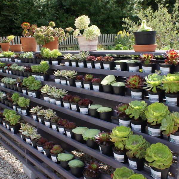 Sales area at Tremenheere Gardens