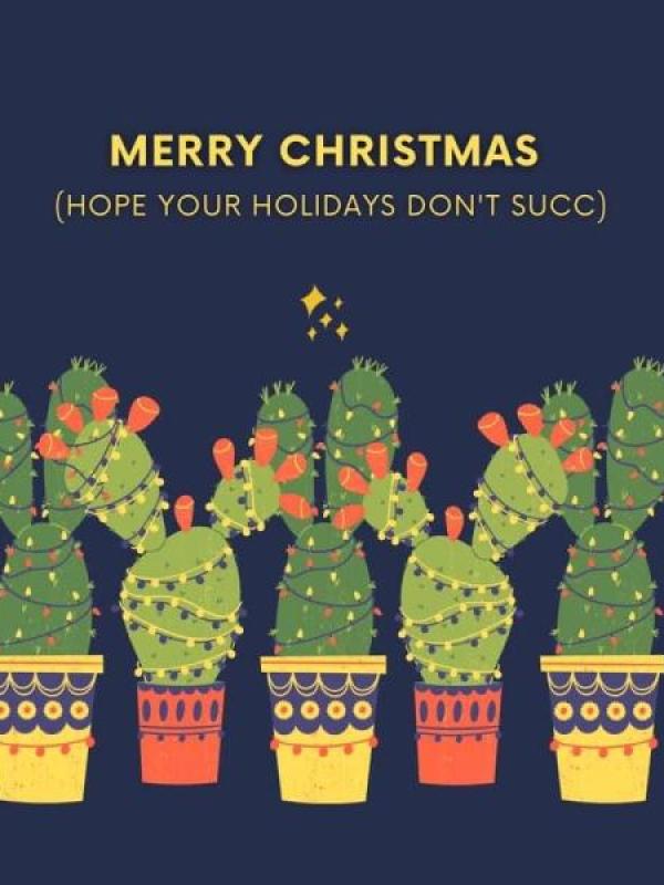 Succulent Christmas