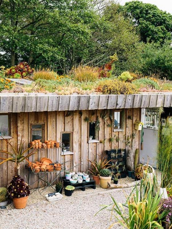 Surreal Succulents retail shop