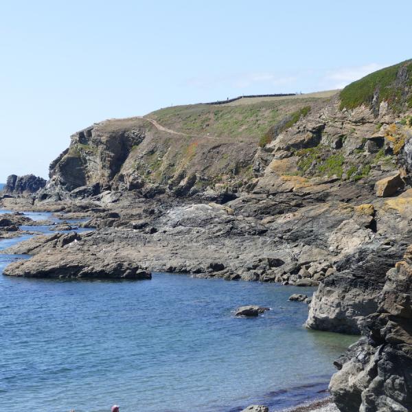 The Lizard point
